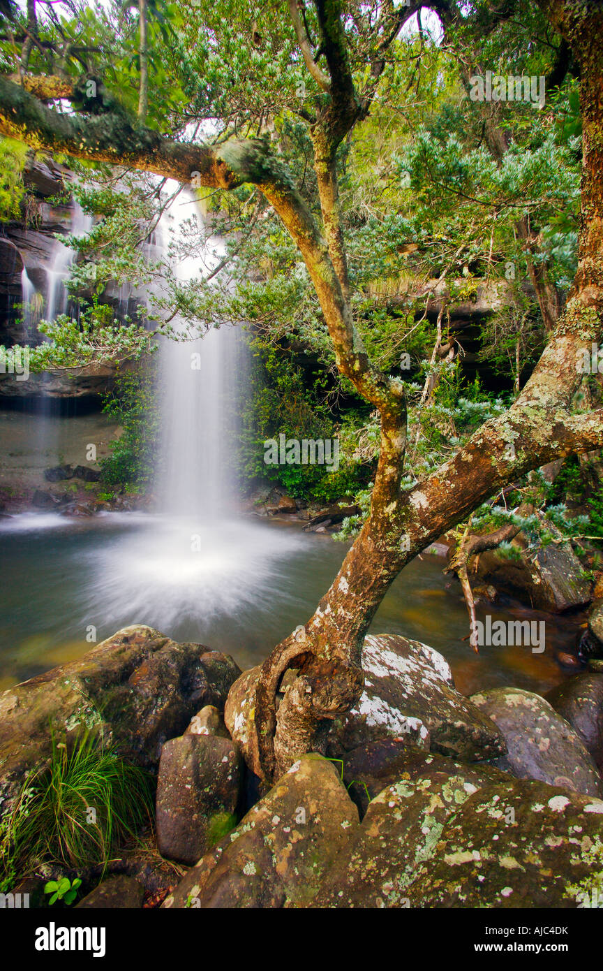 Vue d'une cascade qui coule - Blurred Motion Banque D'Images
