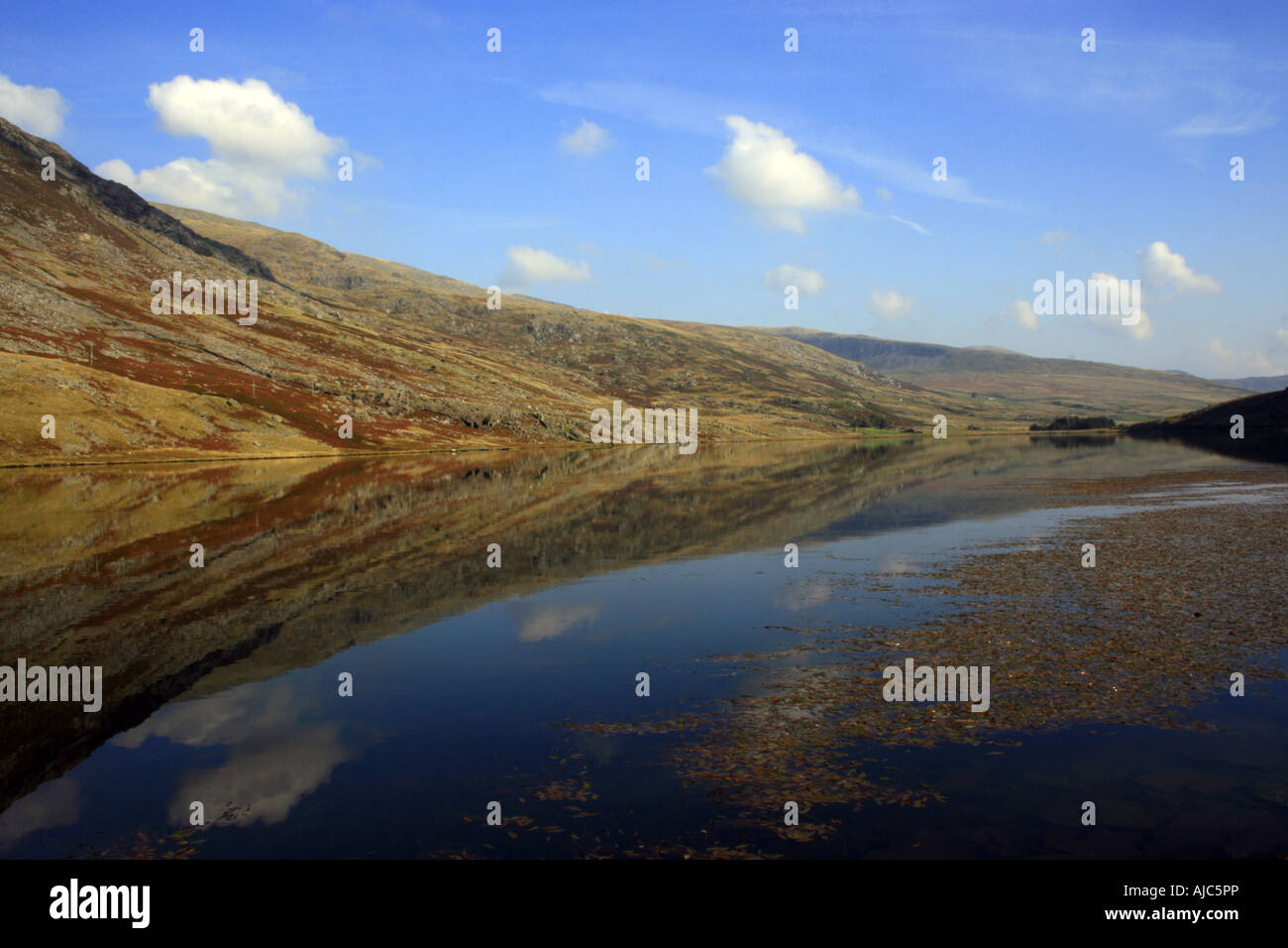 Lake Gwynant Snowdonia, Banque D'Images