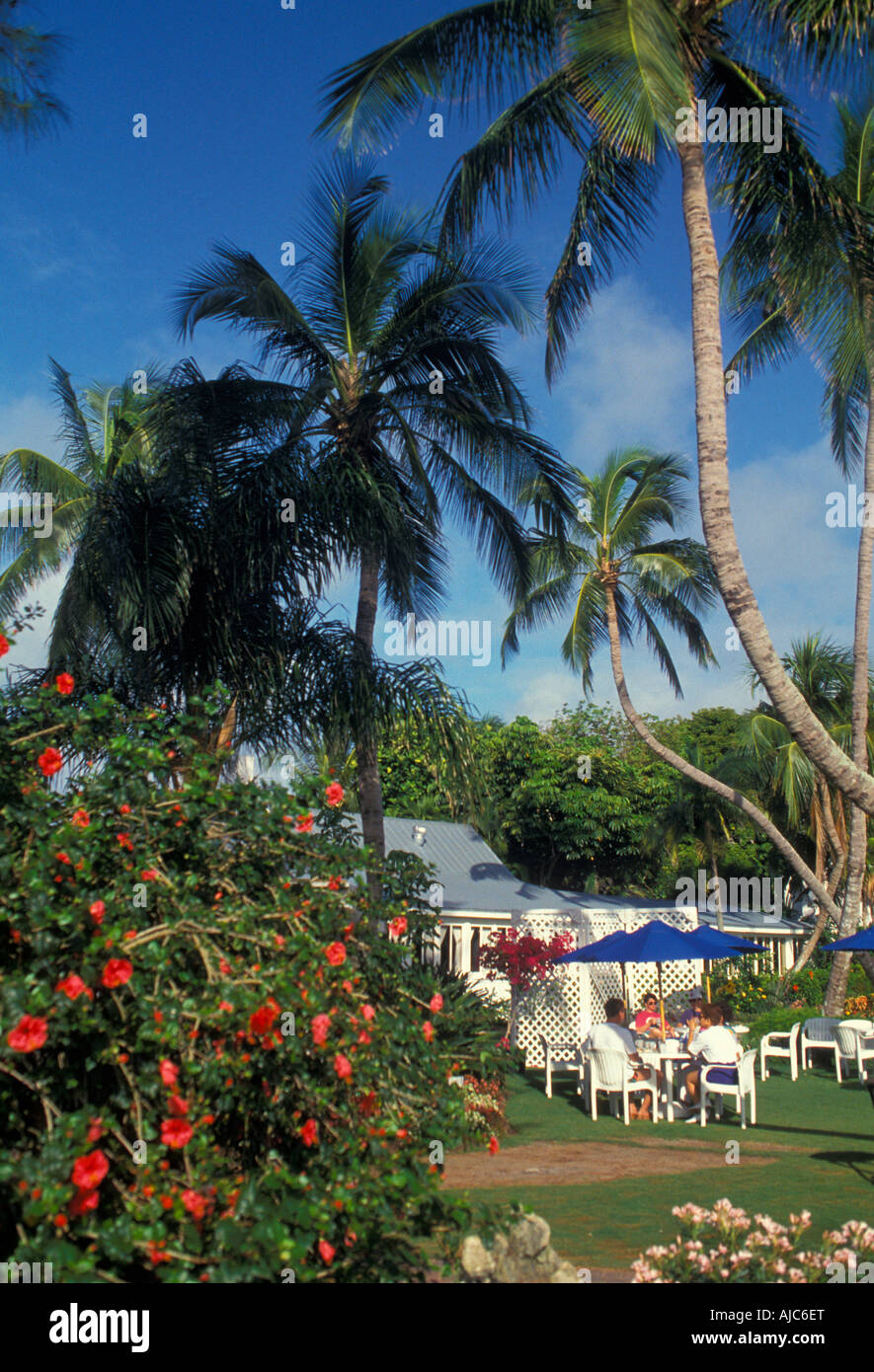 Sanibel Island floride piscine palmiers Banque D'Images