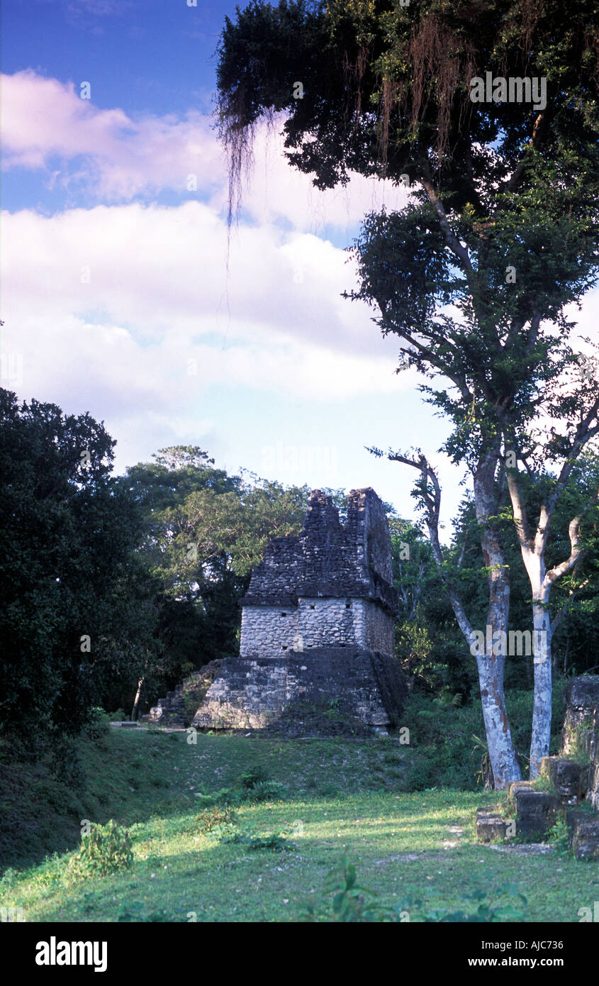 L'ancien site maya de Tikal, Uaxactun au nord de El Peten au Guatemala Banque D'Images
