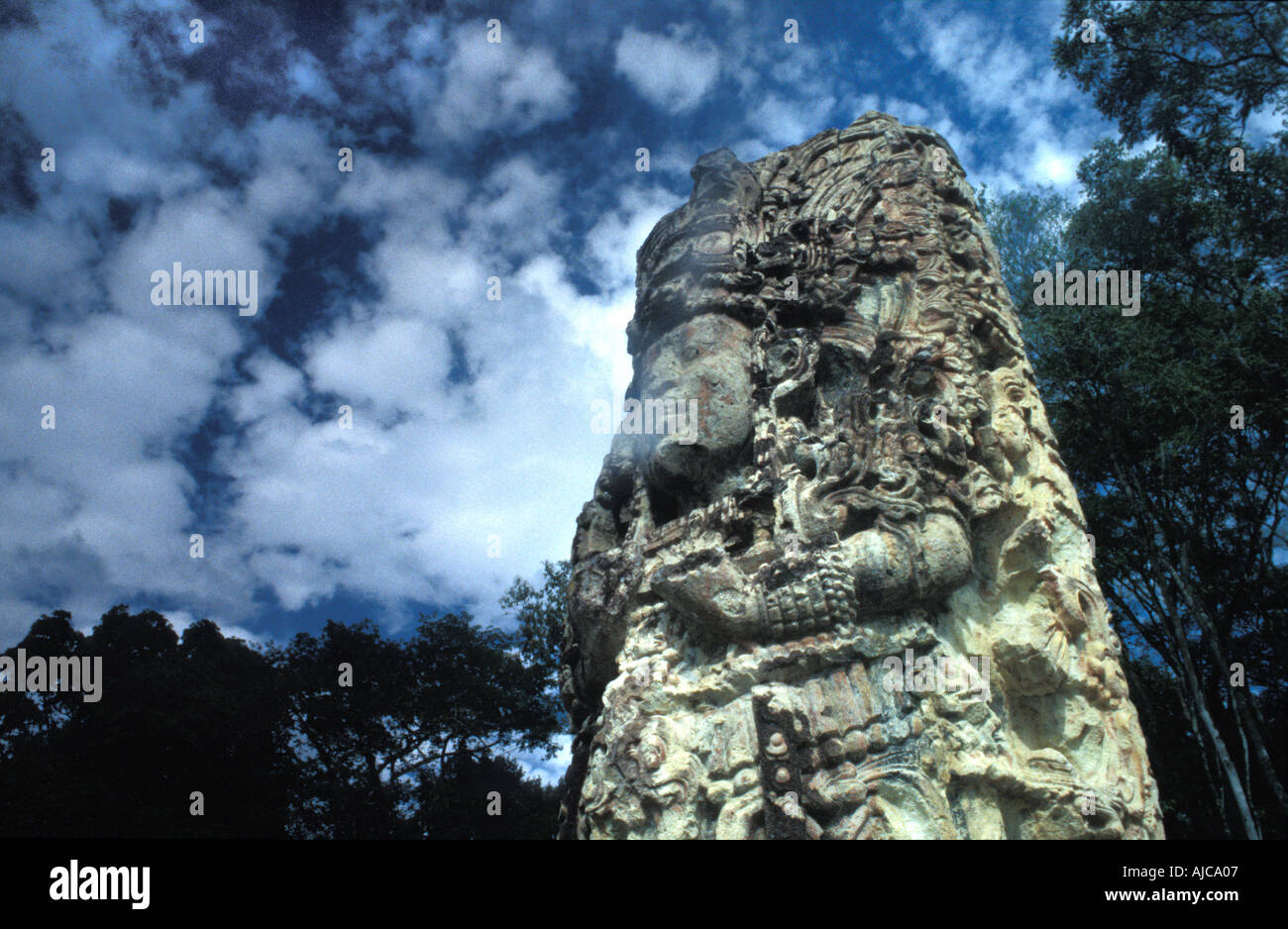 Stèle sculptée en pierre mégalithe représentant les anciens Mayas, fumée King Lapin 18 Copan Honduras Banque D'Images