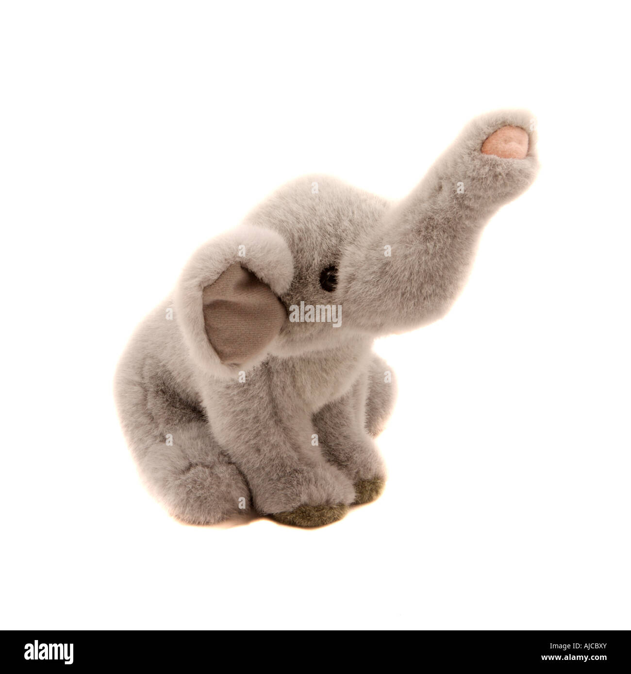 Peluche peluche tourné sur un fond blanc Banque D'Images