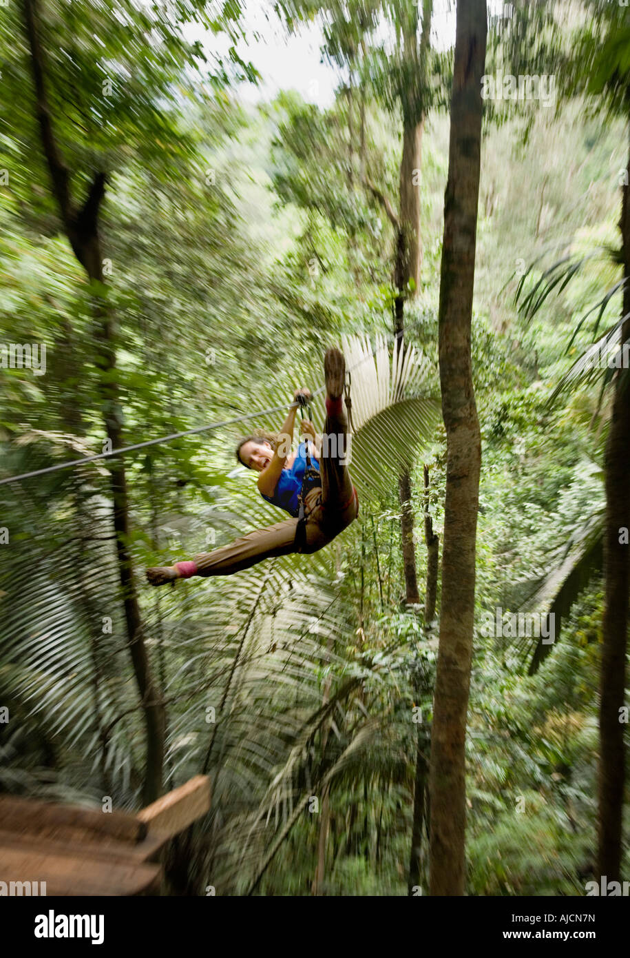 Femme sur un zip line à l'expérience Gibbon près de Huay Xai sur le Mékong au Laos, près de la frontière thaïlandaise Banque D'Images