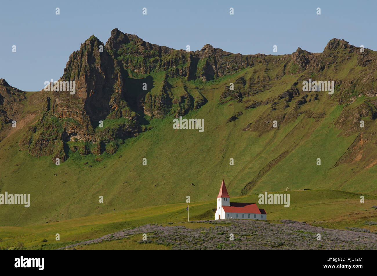 L'église rouge et blanc entouré de champs de lupins, sur une colline au-dessus de la ville de Vik l'Islande du sud Banque D'Images