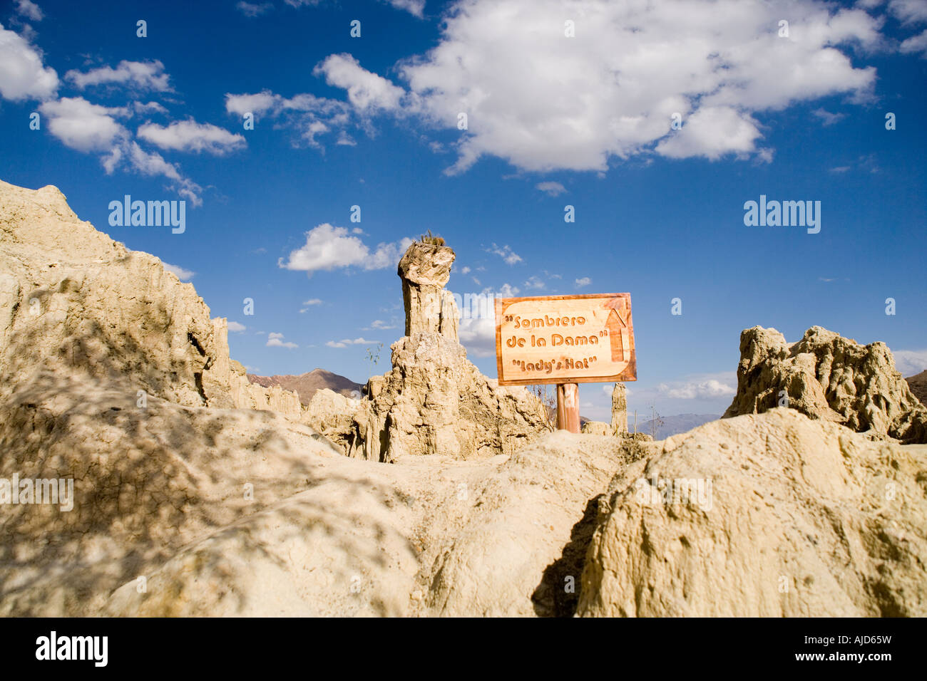 Lady's Hat rock dans la vallée de la Lune, Valle de la Luna, La Paz, Bolivie Banque D'Images