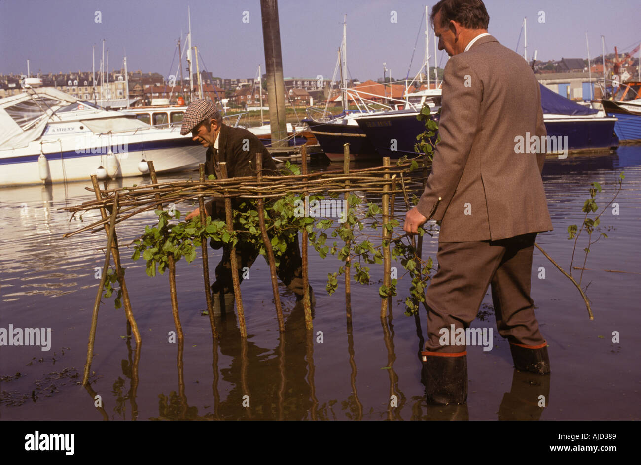Whitby Penny Hedge ou Penance Hedge Yorkshire événement annuel le Matin de l'Ascension Eve Horn ventilateur bâtiment la haie années 1990 HOMER SYKES, ROYAUME-UNI Banque D'Images