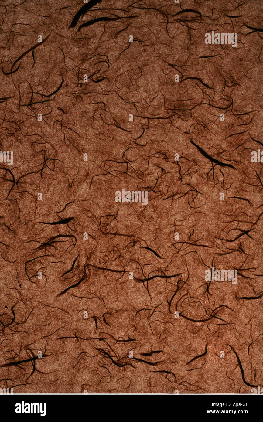 Un gros plan du papier de soie de fibre allumée derrière parfait pour différentes montrant la texture et le détail Banque D'Images