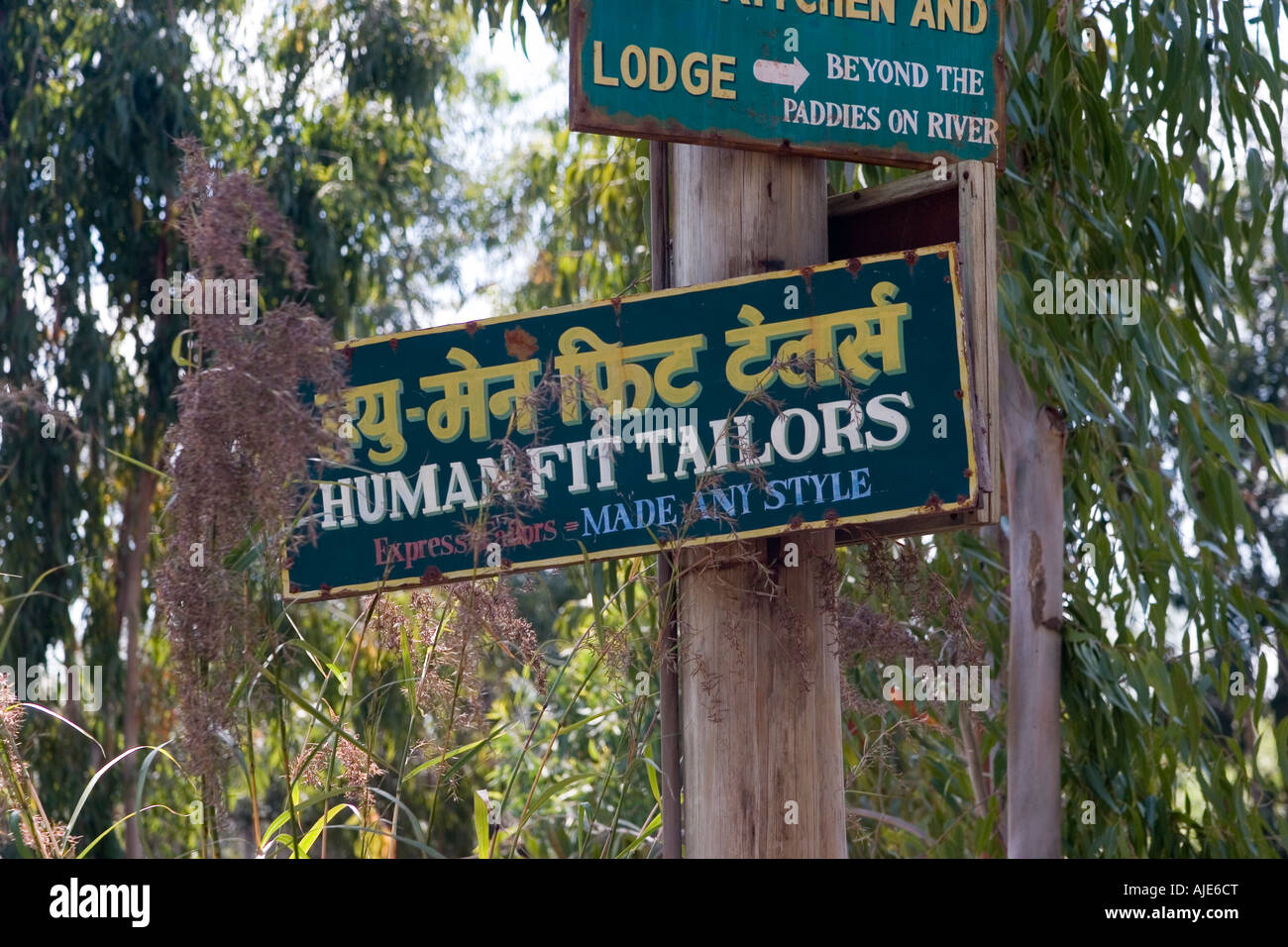 Des signes. Animal Kingdom, Orlando, Floride Banque D'Images