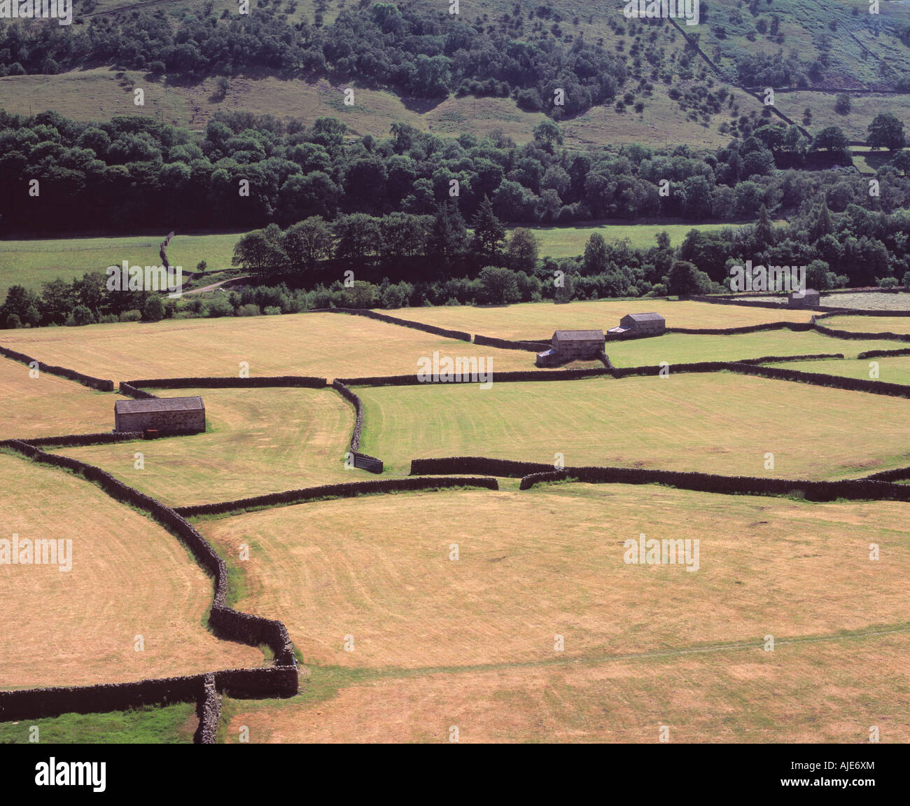 Vue d'été élevé de terres agricoles près de Gunnerside Yorkshire Banque D'Images