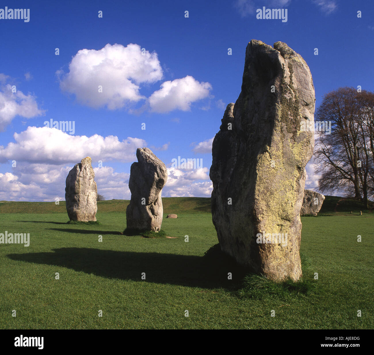 Stone Circle Avebury Wiltshire England UK Banque D'Images