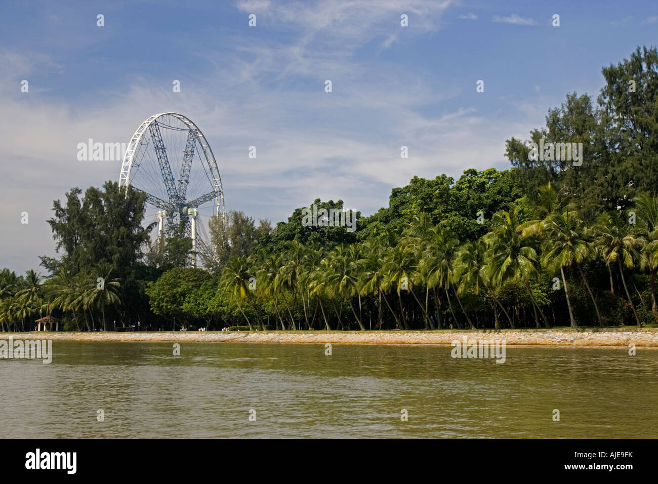 Mondes plus hauts grande roue Singapore Flyer en construction Banque D'Images