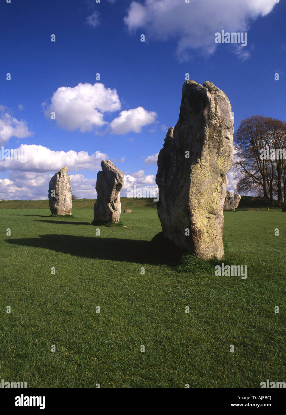 Stone Circle Avebury Wiltshire England UK Banque D'Images