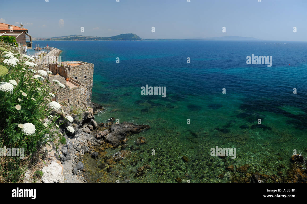Bleu clair de la Méditerranée et de la falaise des murs en pierre avec des fleurs achillée blanche de Talamone, Italie Banque D'Images