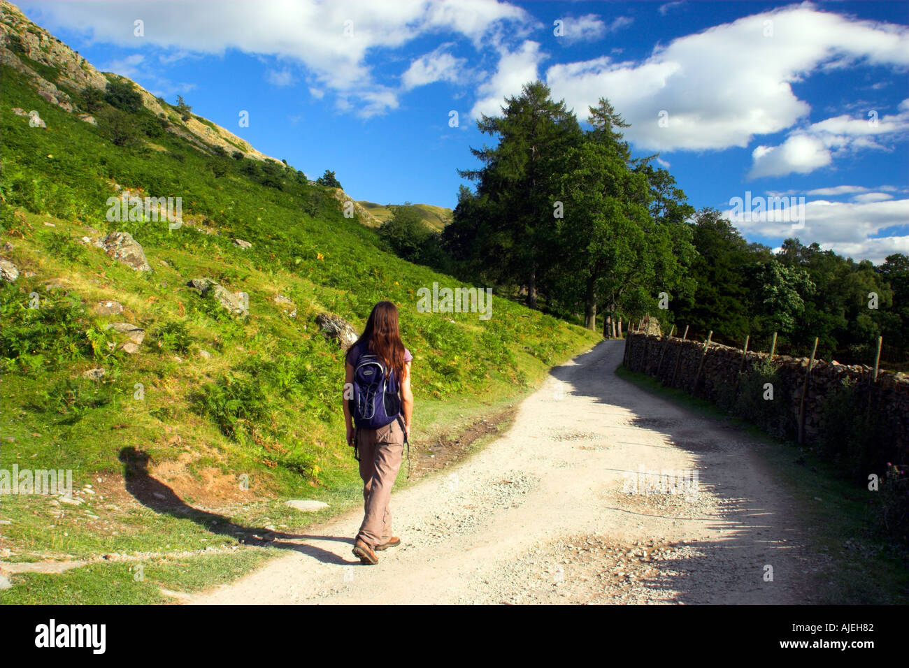 L'Angleterre, Cumbria, Parc National de Lake District. Un randonneur marchant le long d'une femme bien formée sentier public à Penrith. Banque D'Images