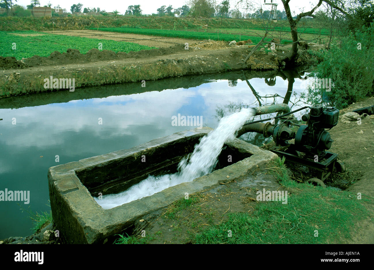 L'irrigation de la vallée du Nil Banque D'Images