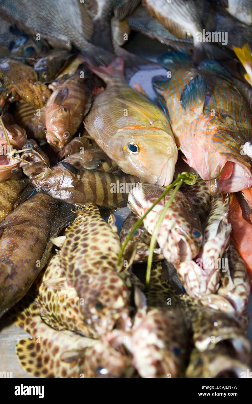 Marché de poissons village Rawai Phuket Thailande Banque D'Images