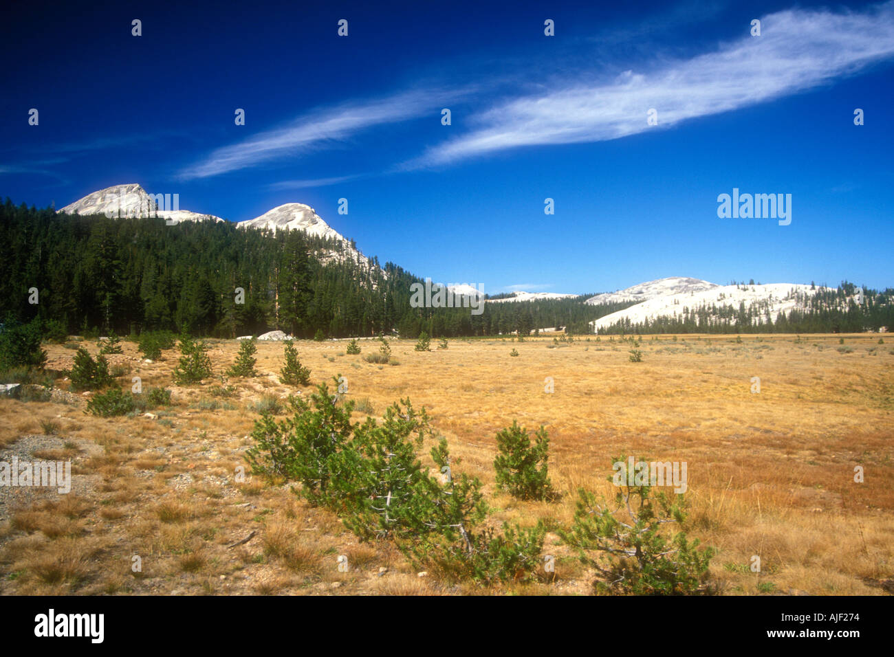 Yosemite N P High Sierra Nevada Californie USA Tuolumne Meadows Banque D'Images