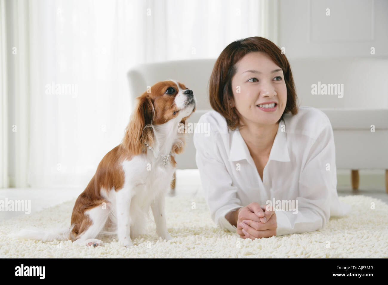 Jeune femme et Cavalier King Charles Spaniel Banque D'Images