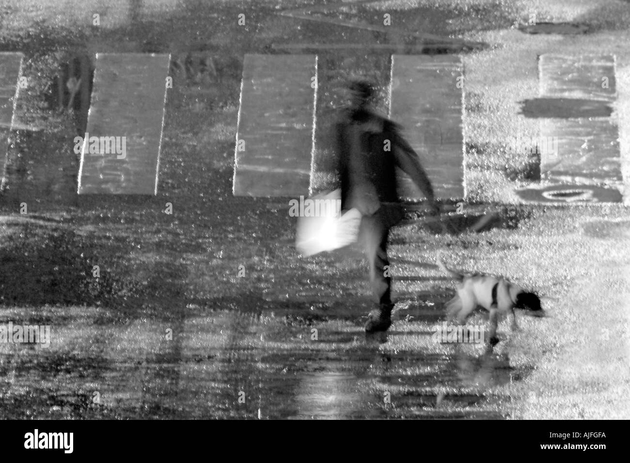 L'homme et le chien sur une nuit pluvieuse Banque D'Images