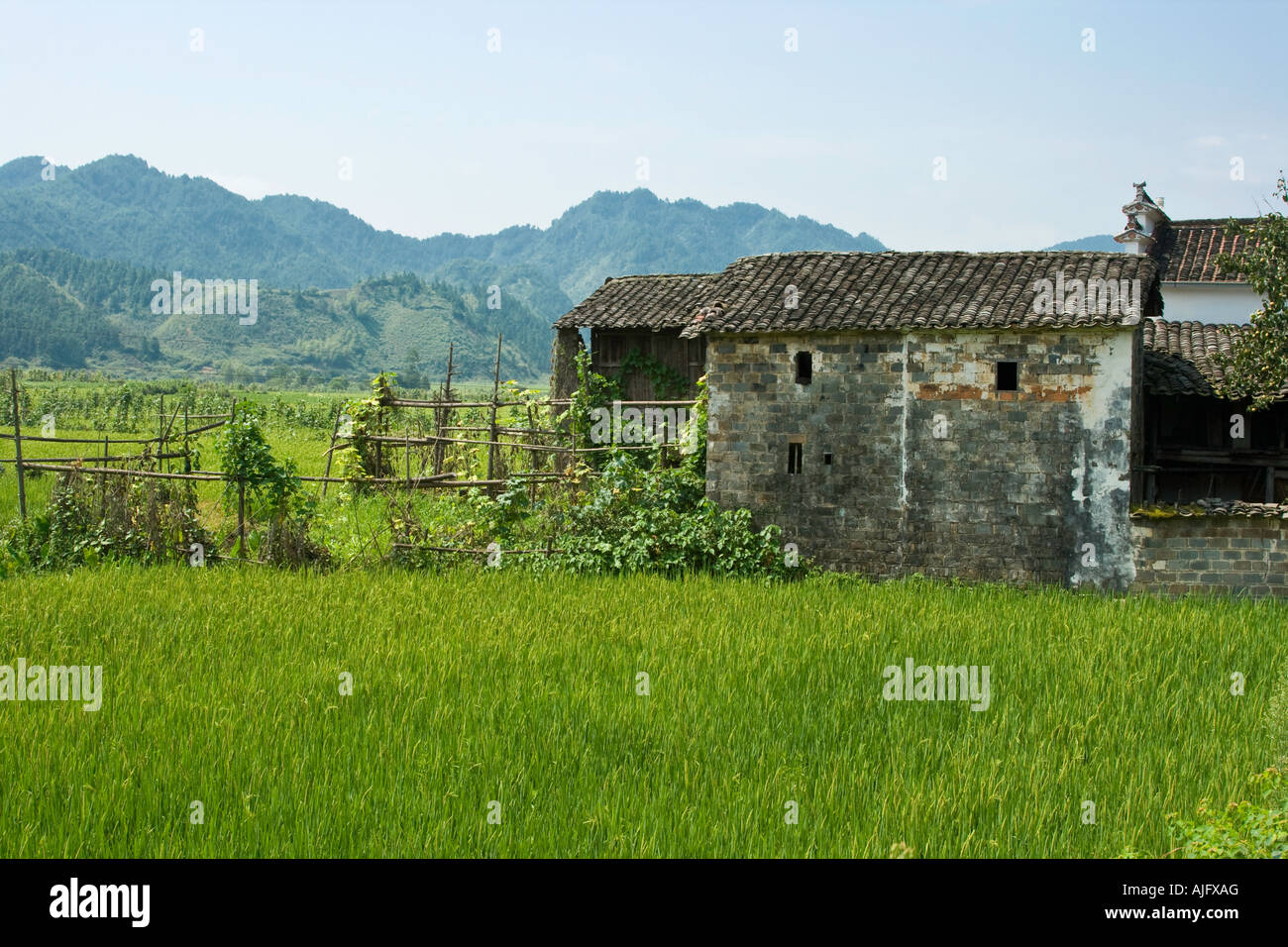 Ancien village rural et rizières Likeng Wuyuan County Chine Banque D'Images