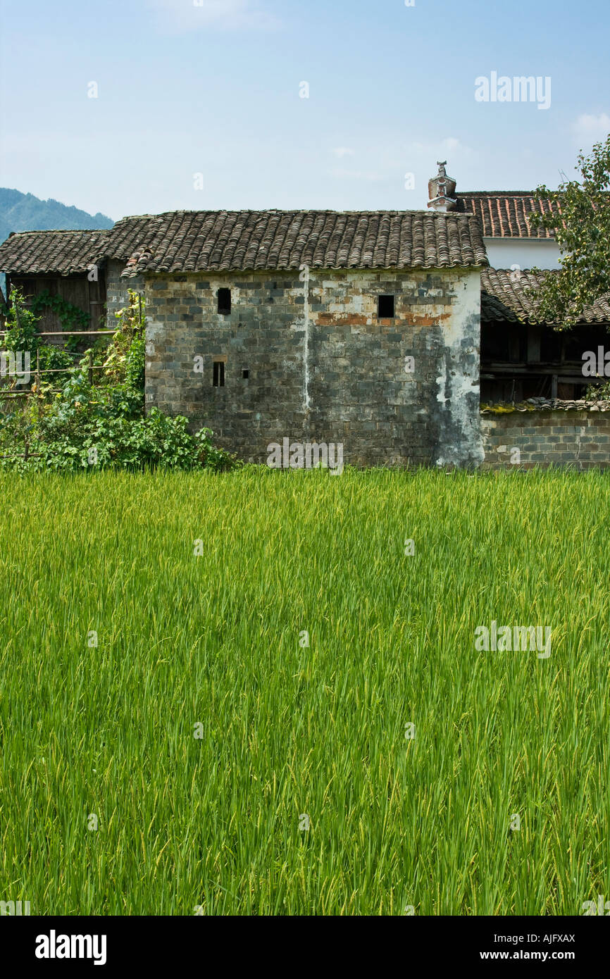 Ancien village rural et rizières Likeng Wuyuan County Chine Banque D'Images