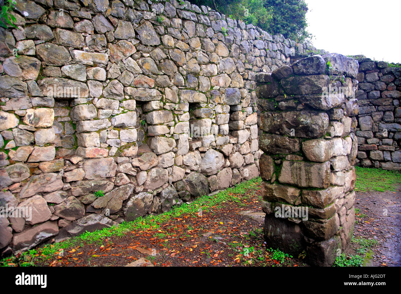 Misty ruines sur le chemin de l'Inca Cordillère Vilcabamba Site du patrimoine mondial de l'Andes Pérou Machu Picchu Amérique du Sud Banque D'Images