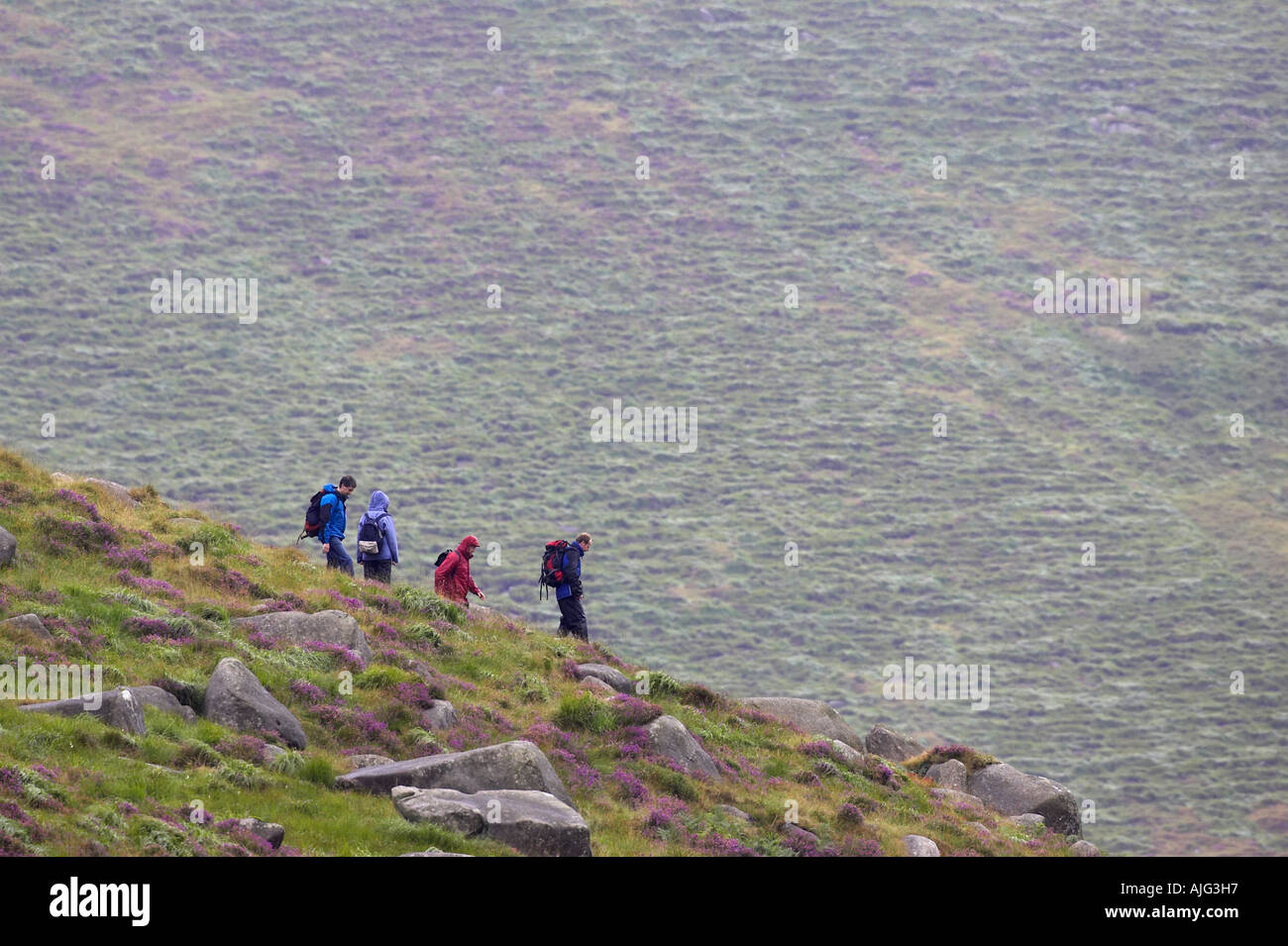 Quatre personnes randonneurs randonnée le long ridge par temps humide sur humide vêtements une misérable journée d'été pluvieux dans l'Irlande du nord des montagnes de Mourne Banque D'Images