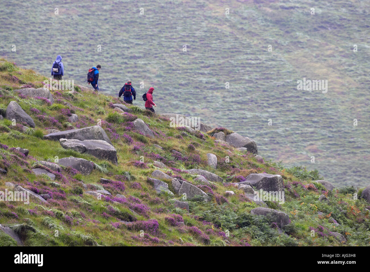 Quatre personnes de la randonnée le long ridge par temps humide sur humide vêtements un jour d'été pluvieux misérable dans le montagnes de Mourne Banque D'Images