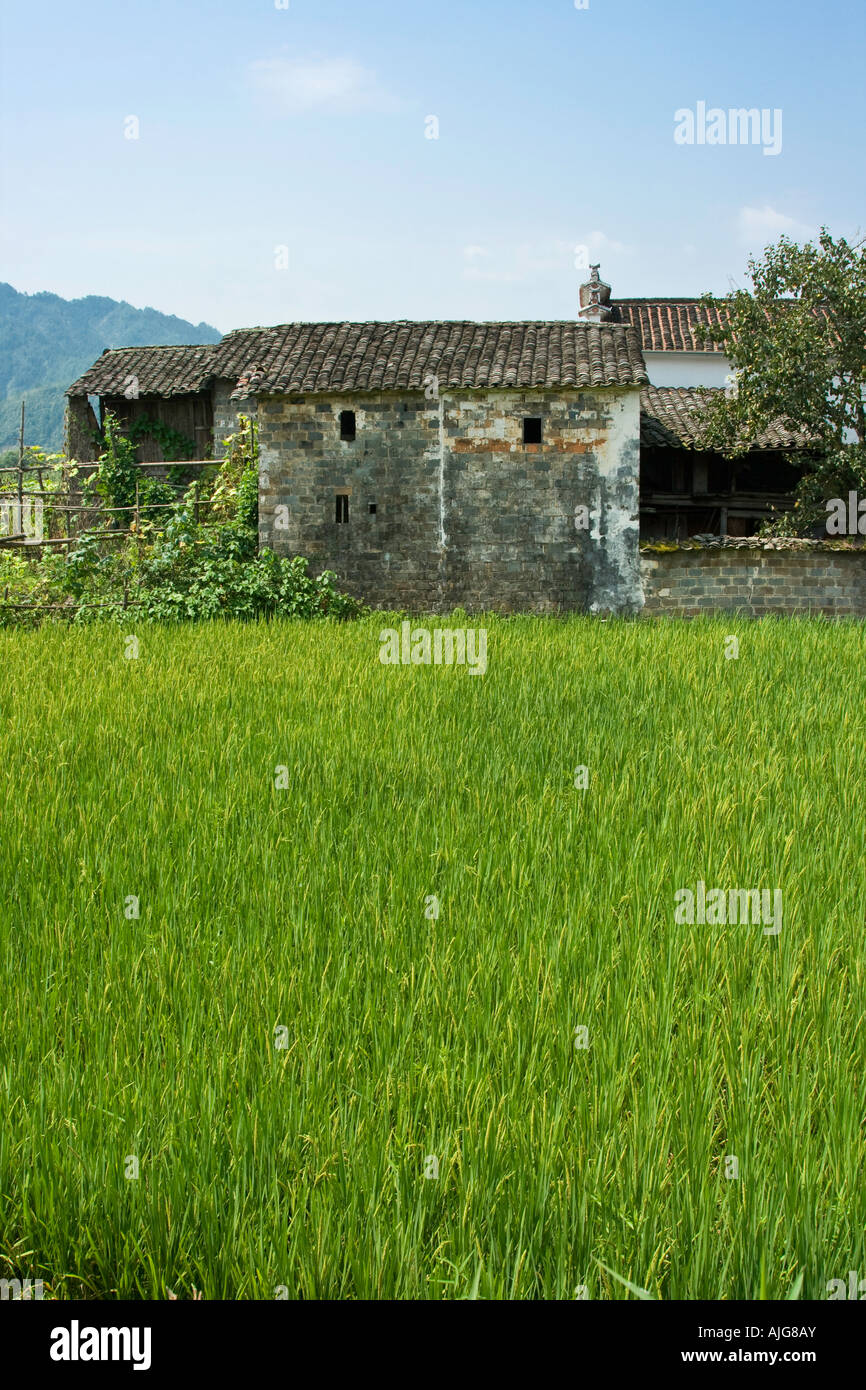 Ancien village rural et rizières Likeng Wuyuan County Chine Banque D'Images