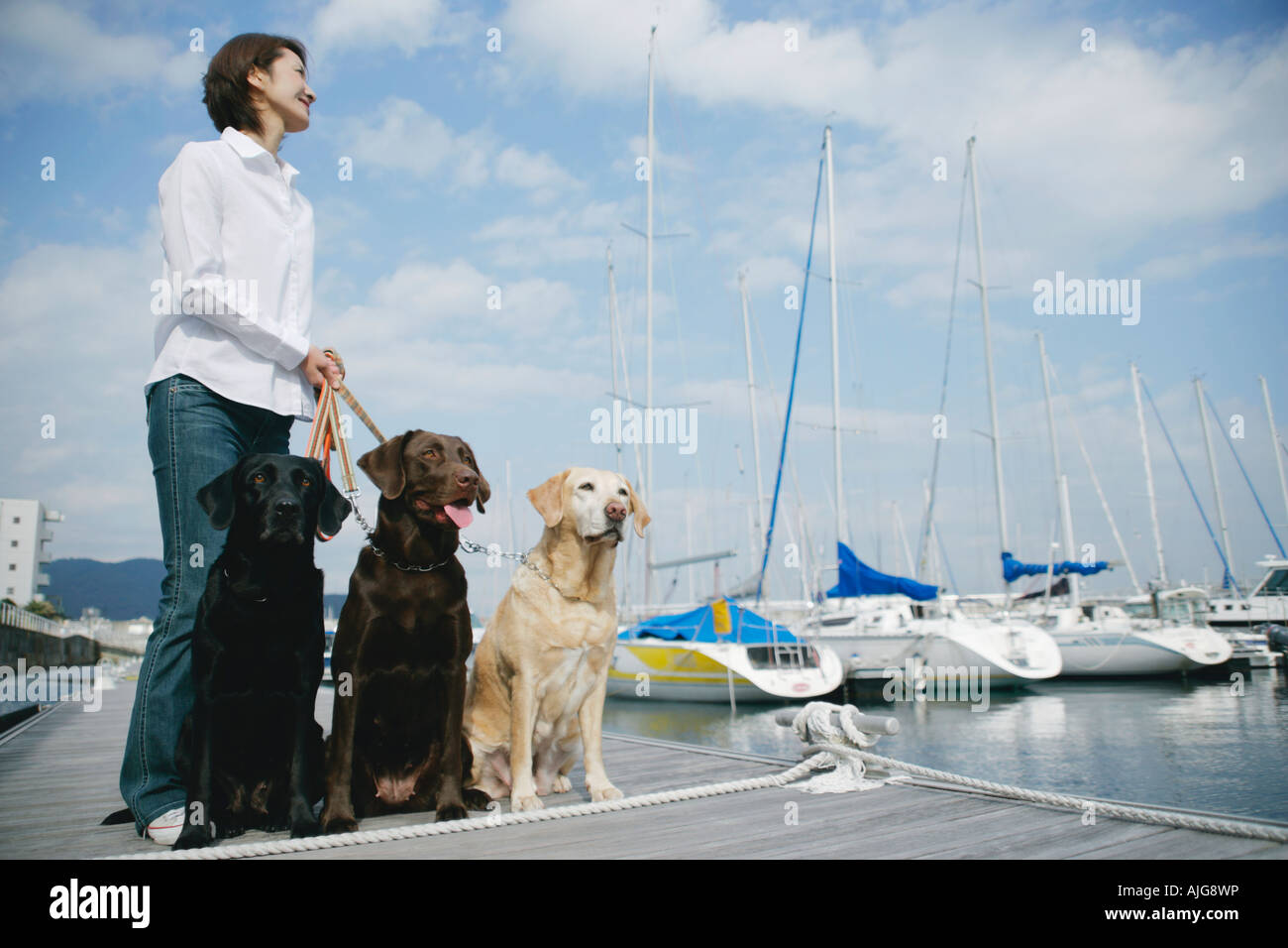 Jeune femme et du Labrador retrievers Banque D'Images