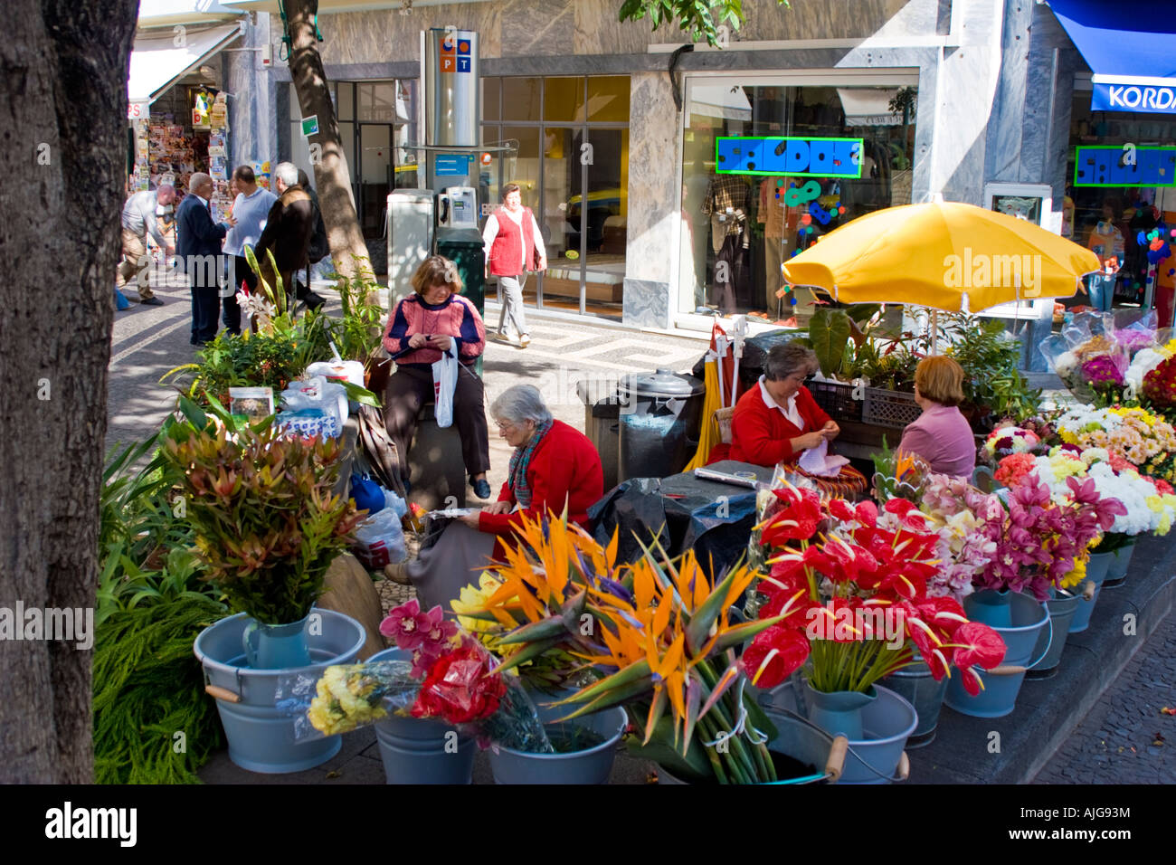 Les vendeurs de fleurs, Funchal, Madère Banque D'Images