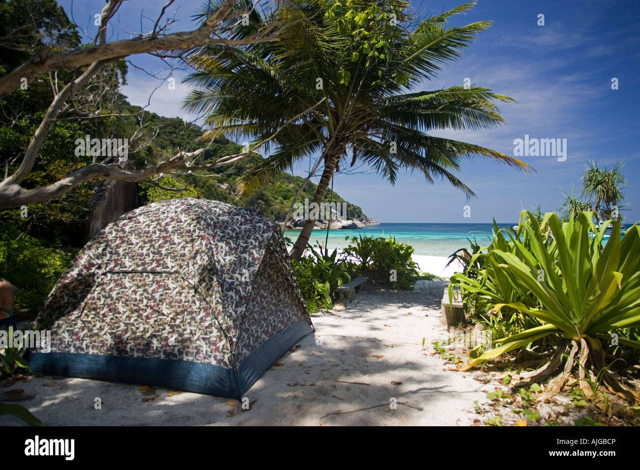 Tente de camping plage fixe admis sur 8 Ko Similan Similan en Thaïlande Banque D'Images