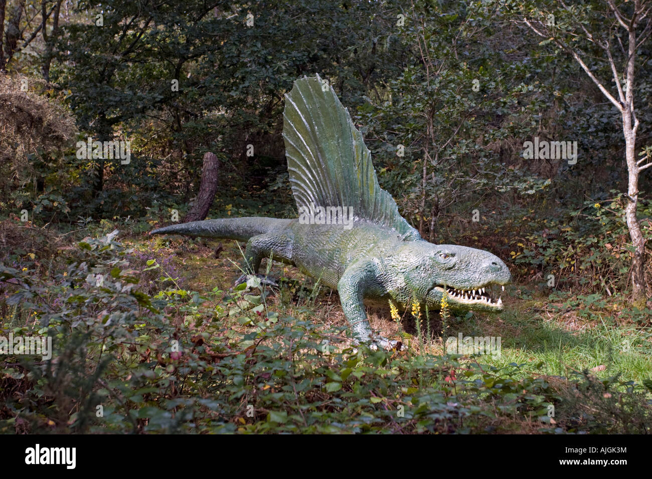 Dimetrodon Extinct Banque D Image Et Photos Alamy
