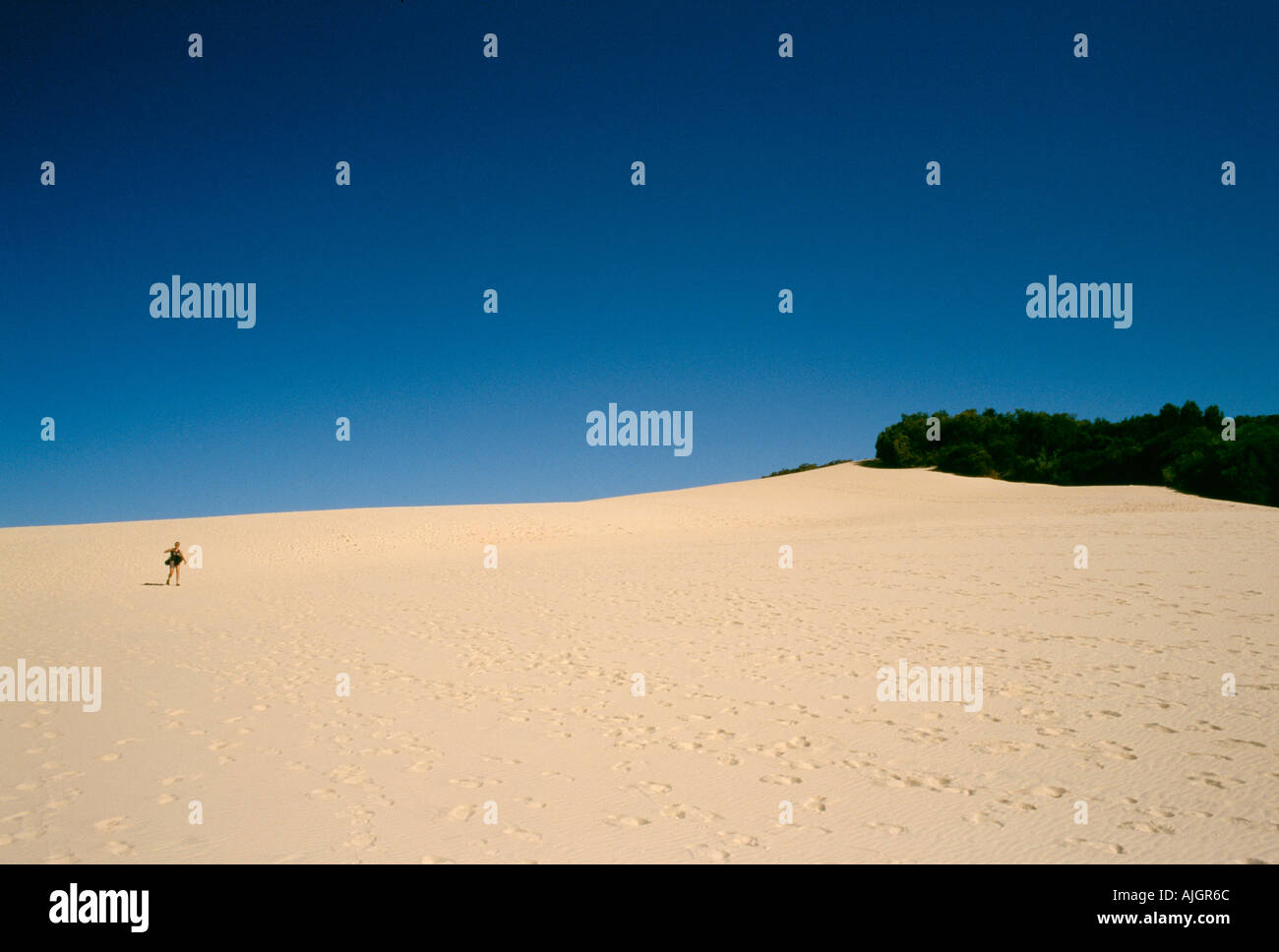 Une femme solitaire marchant sur une grande dune de sable sur Fraser Island, en Australie. Banque D'Images