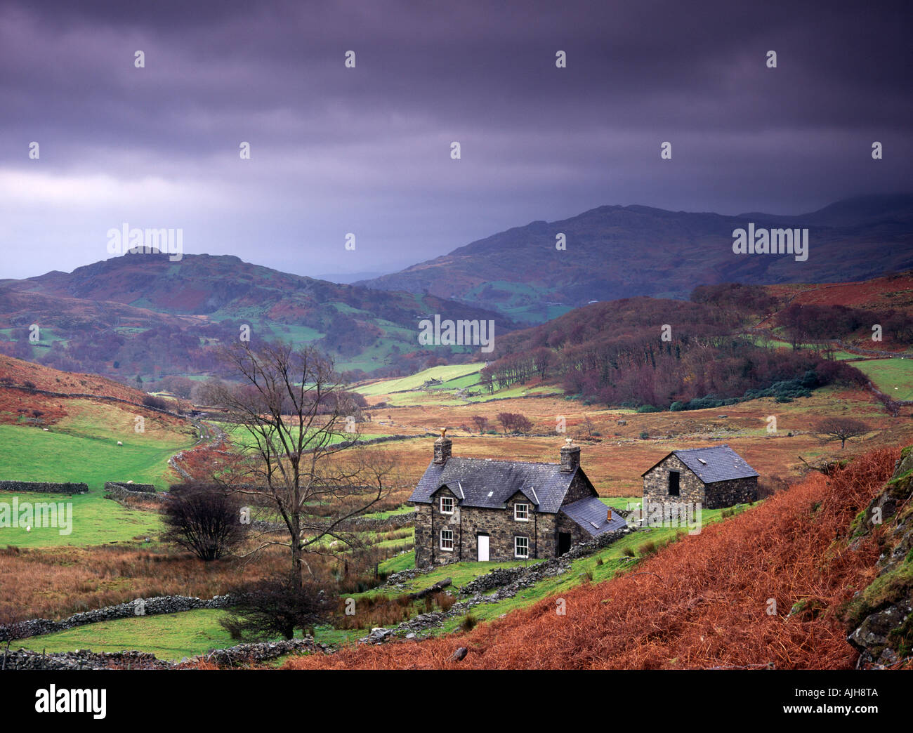 Ferme isolée à Uplands à Ty'n-Llidiart Cregennan, Nr Llynnau, Parc National de Snowdonia, Gwynedd, Pays de Galles Banque D'Images