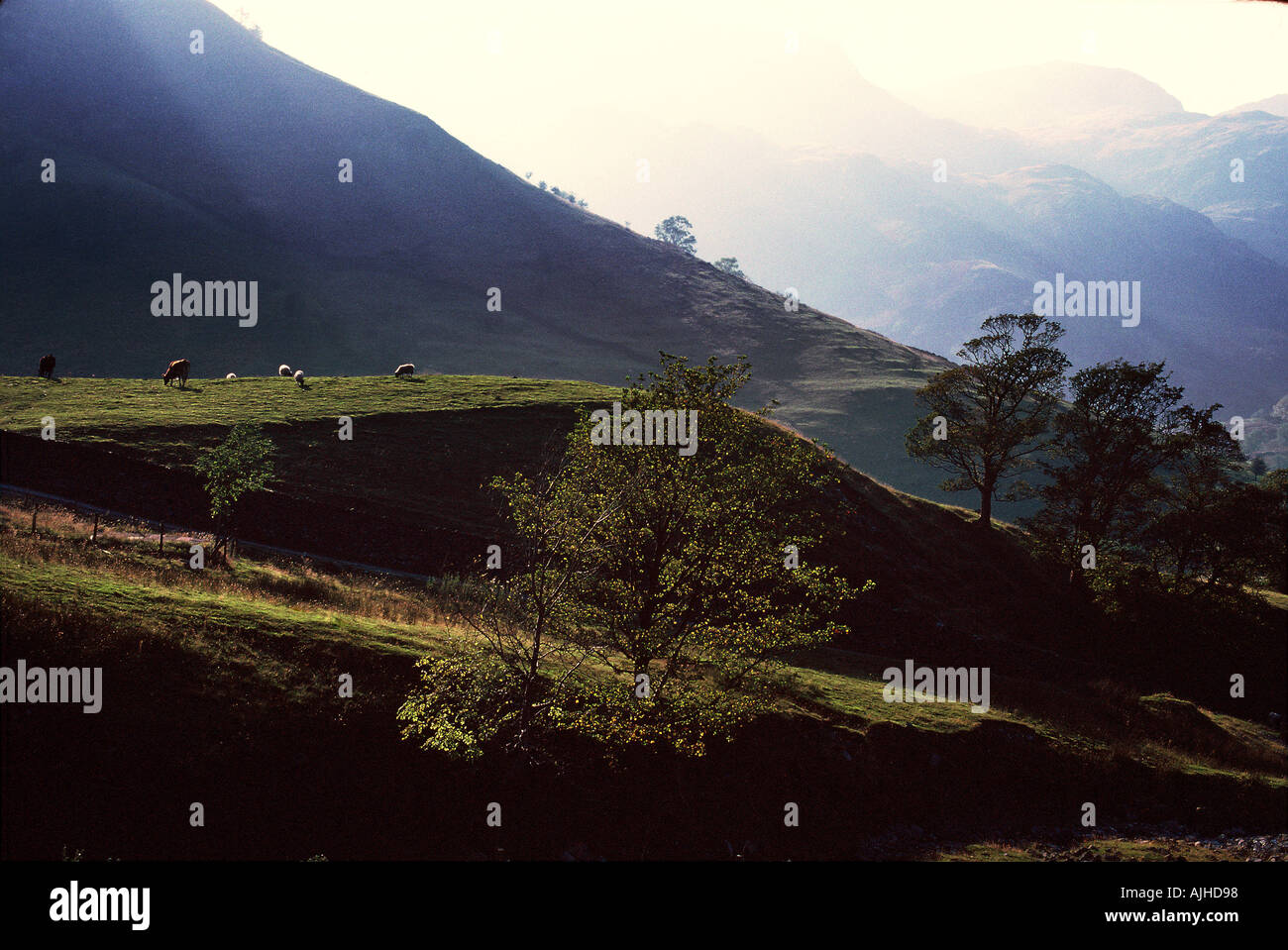 Lake District Angleterre Banque D'Images
