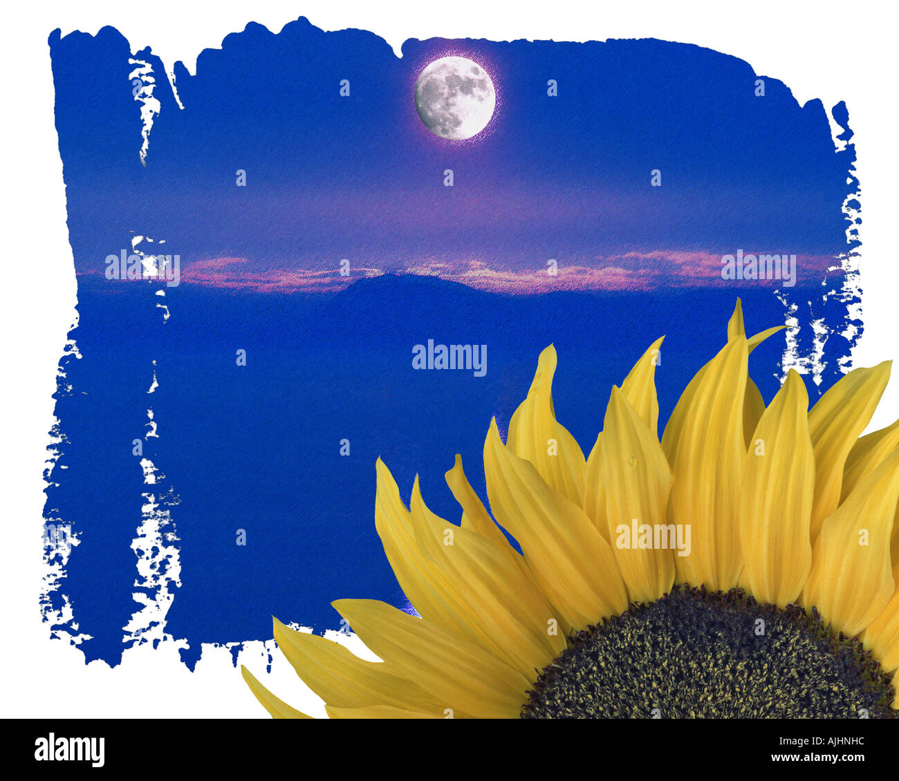 L'ART NUMÉRIQUE : Tournesol & Moon Banque D'Images