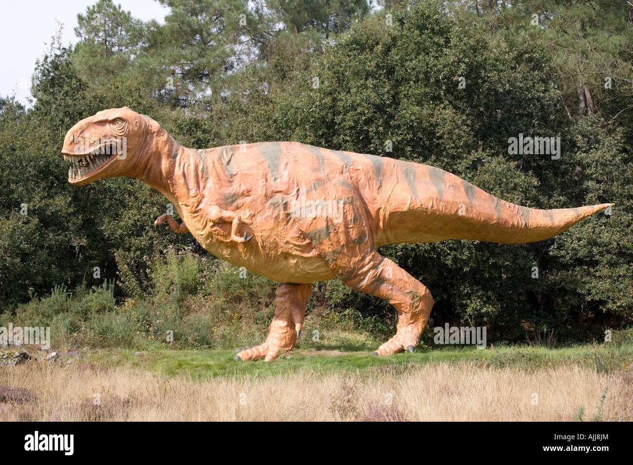 Lifesize reconstruction de Tyrannosaurus rex un dinosaure théropode carnivore bipède tard Cretceous France Banque D'Images