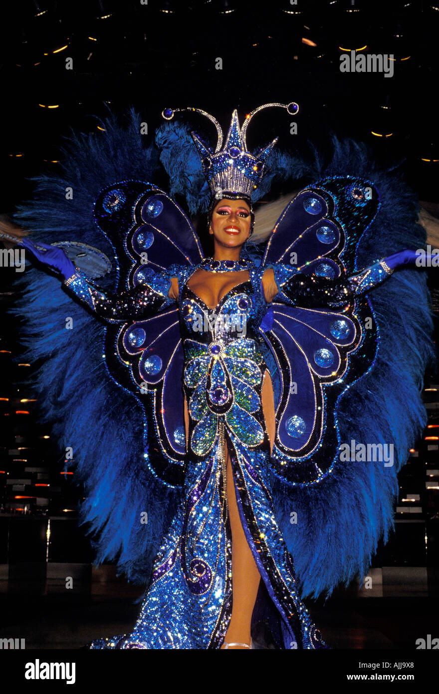 Femme brésilienne, brésilienne, femme, danseuse, costume de carnaval, une  discothèque performance, Rio de Janeiro, Rio de Janeiro, Brésil, état de  l'Amérique du Sud Photo Stock - Alamy