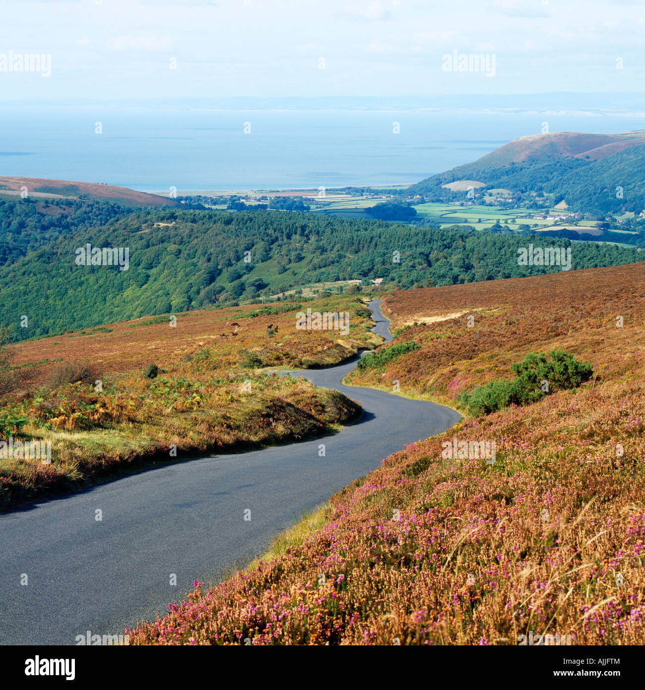 Vue de Dunkery Hill vers Porlock et sur le canal de Bristol sur le parc national d'Exmoor, Somerset, Angleterre. Banque D'Images