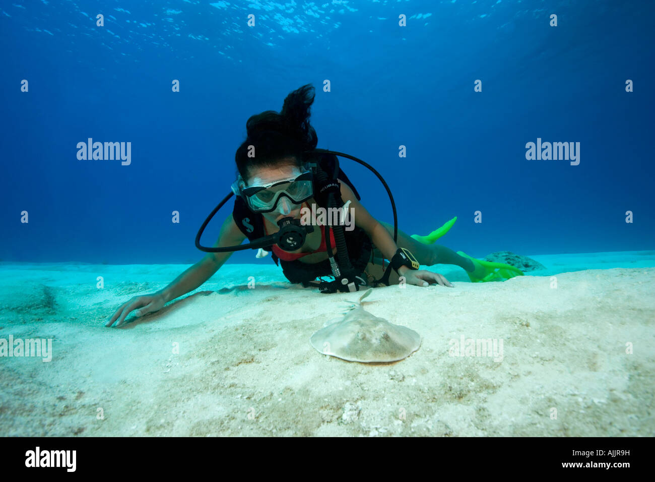 Femme de plongée sous marine à la raie au Paradise Reef, Cozumel, Mexique Banque D'Images