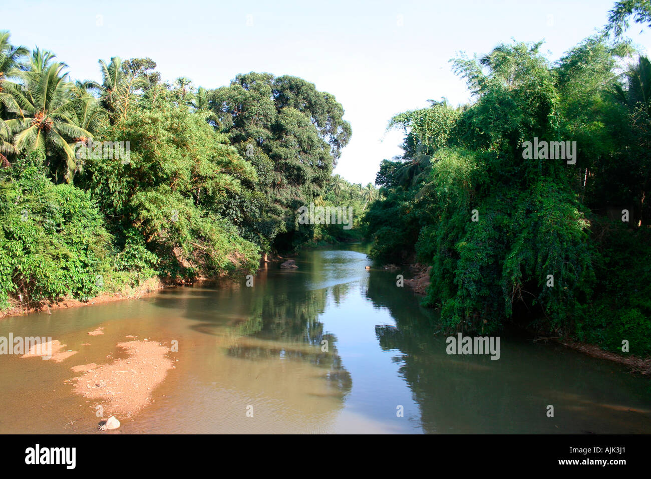 Un canal, près de Neyyattinkara au Kerala, avec une végétation luxuriante sur les deux côtés Banque D'Images