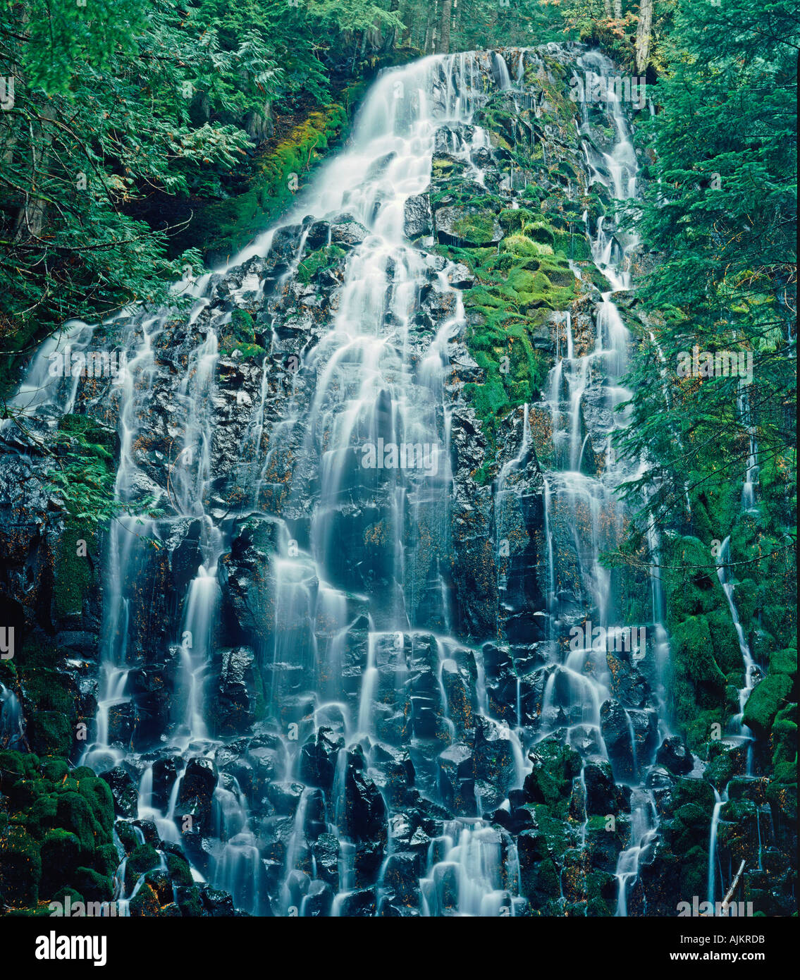 Ramona Falls dans la forêt nationale de Willamette en Oregon USA Banque D'Images