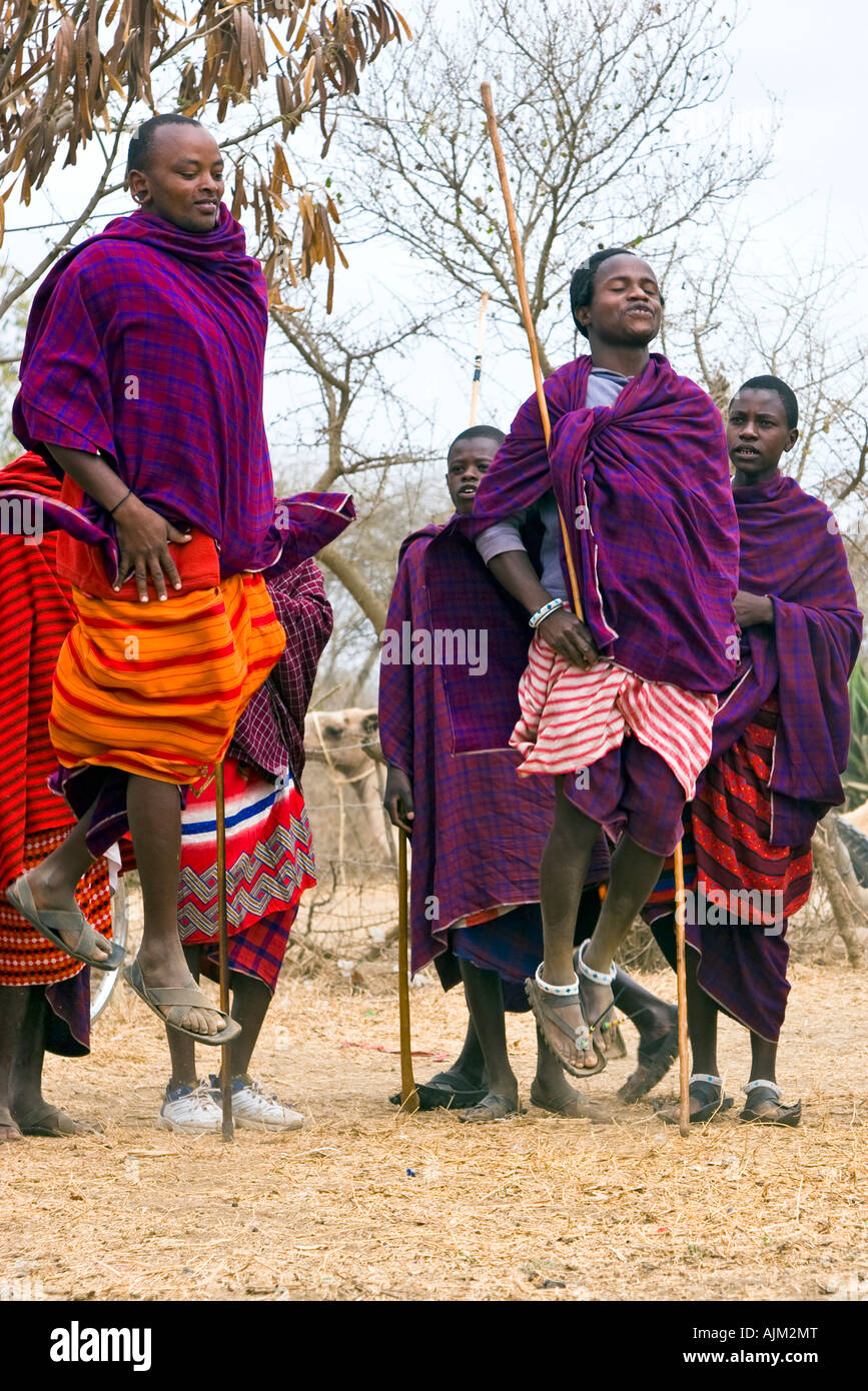 Guerrier Massai groupe de danse dans un village près d'Arusha en Tanzanie, Afrique de l'Est. 2007 L'exercice de leurs sauts traditionnel de la danse. Banque D'Images