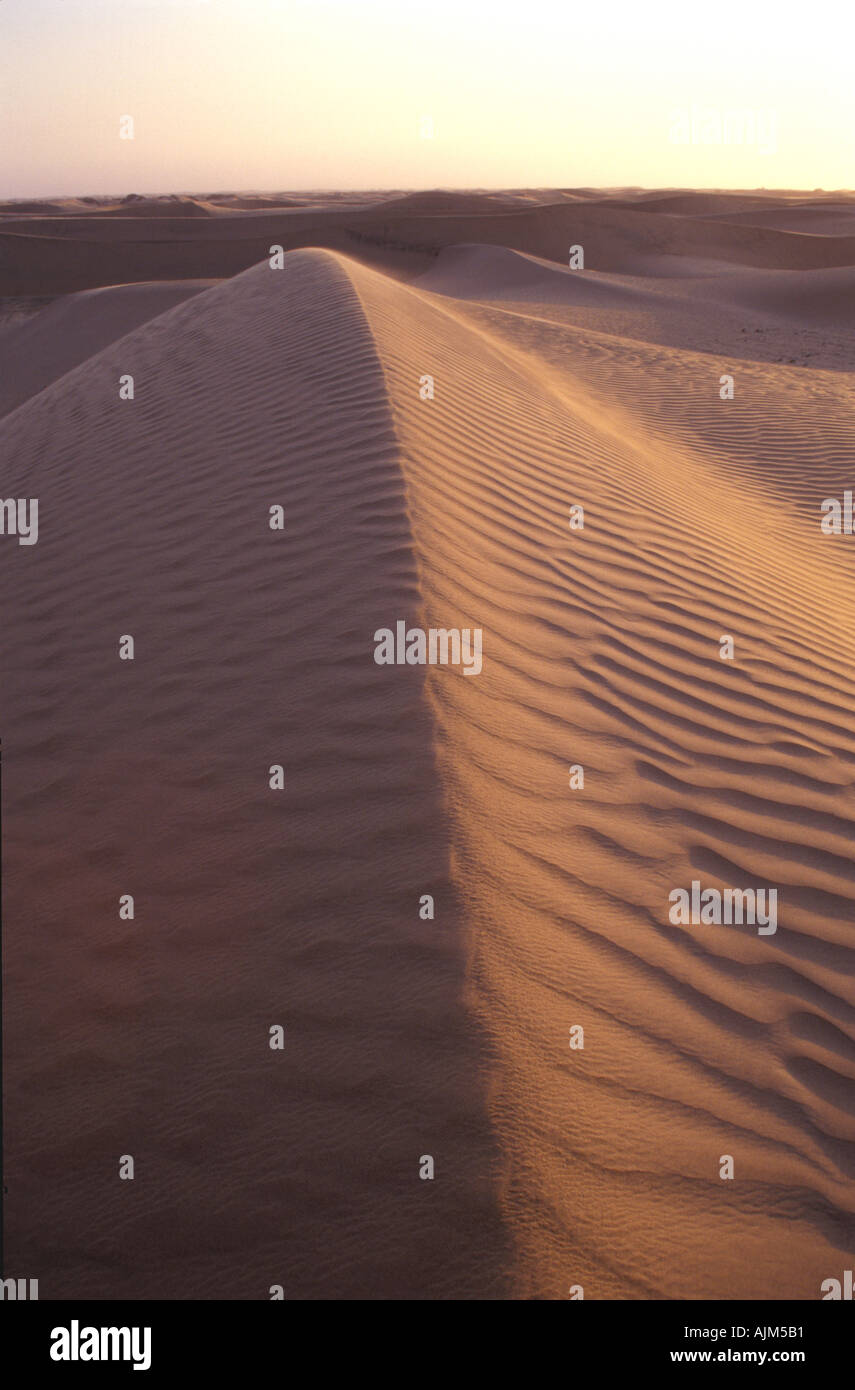 Dunes de sable dans le désert de Namib Naukluft Park près de Swakopmund en Namibie le long de la route Welwitschia Banque D'Images