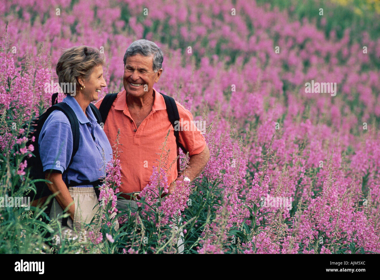 Senior couple randonnées dans le champ de fleurs violettes Banque D'Images