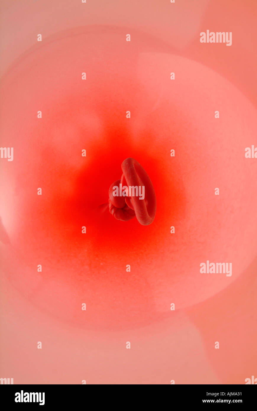 Ballon rouge noeud Banque D'Images