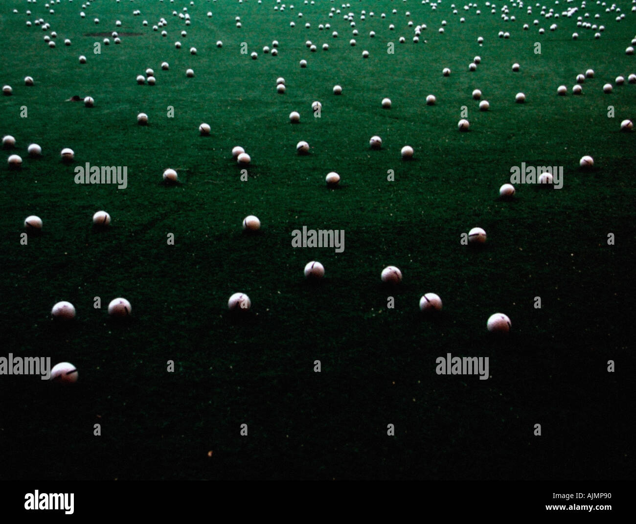 Ballons dans le champ Banque D'Images