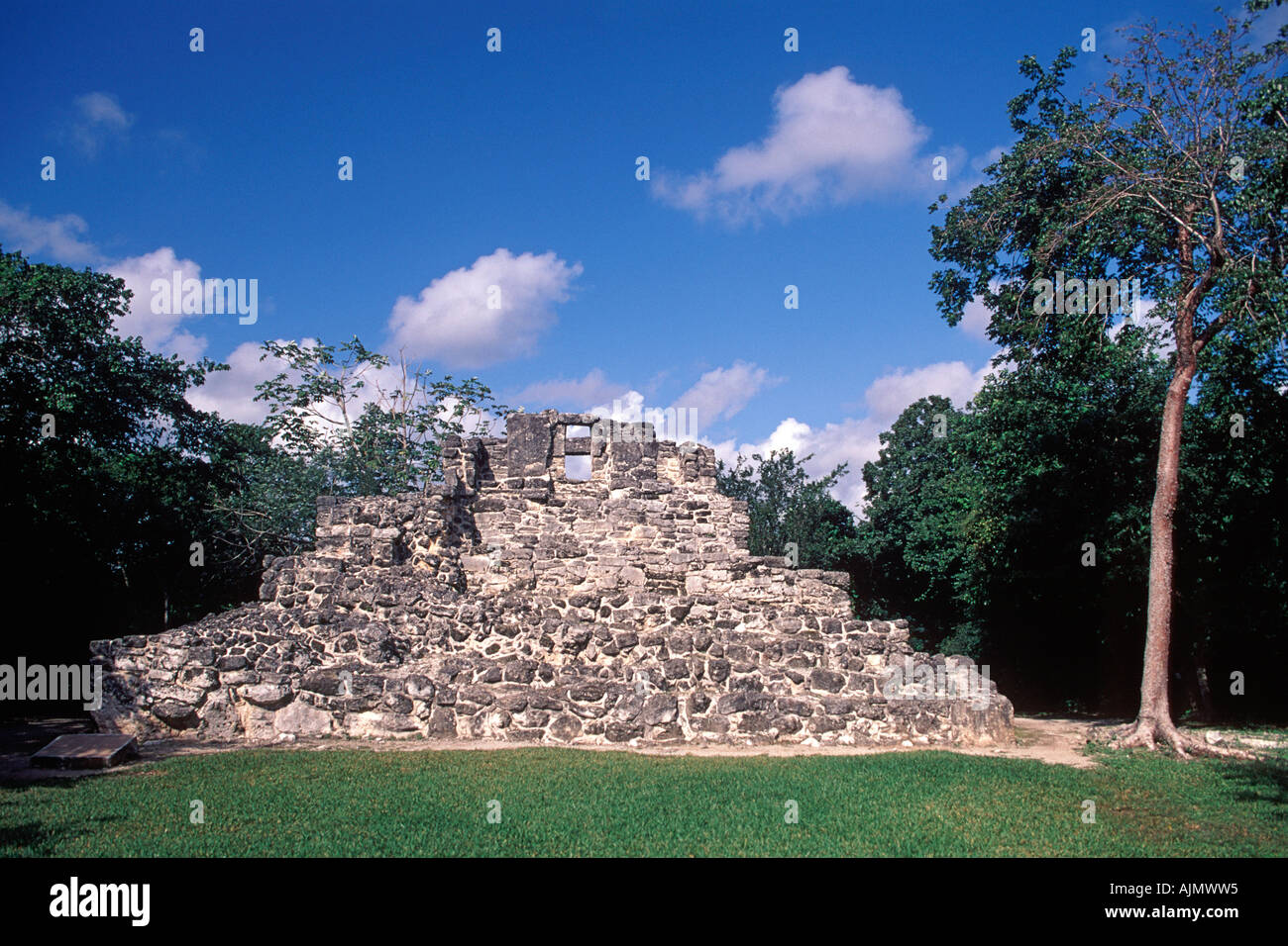 Ruines de la San Gervasio site archéologique maya sur l'île de Cozumel au Mexique. Banque D'Images