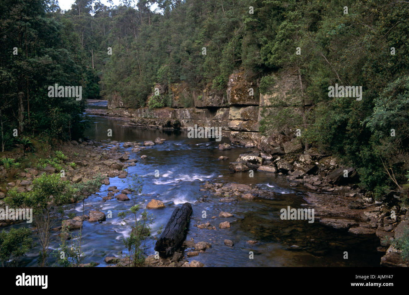 La rivière Styx, Tasmanie, Australie Banque D'Images